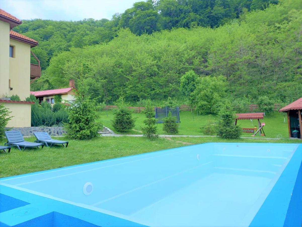 Pensiunea Castania - Pensiune Cu Piscina La Munte Polovragi Εξωτερικό φωτογραφία