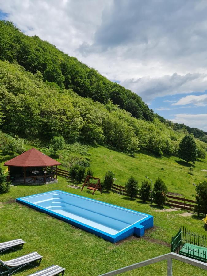 Pensiunea Castania - Pensiune Cu Piscina La Munte Polovragi Εξωτερικό φωτογραφία