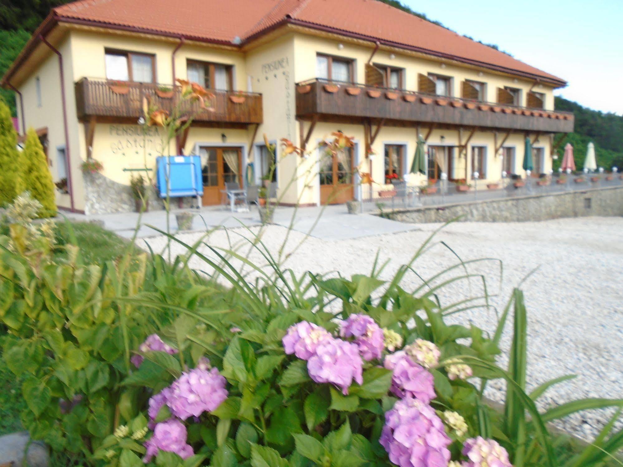 Pensiunea Castania - Pensiune Cu Piscina La Munte Polovragi Εξωτερικό φωτογραφία