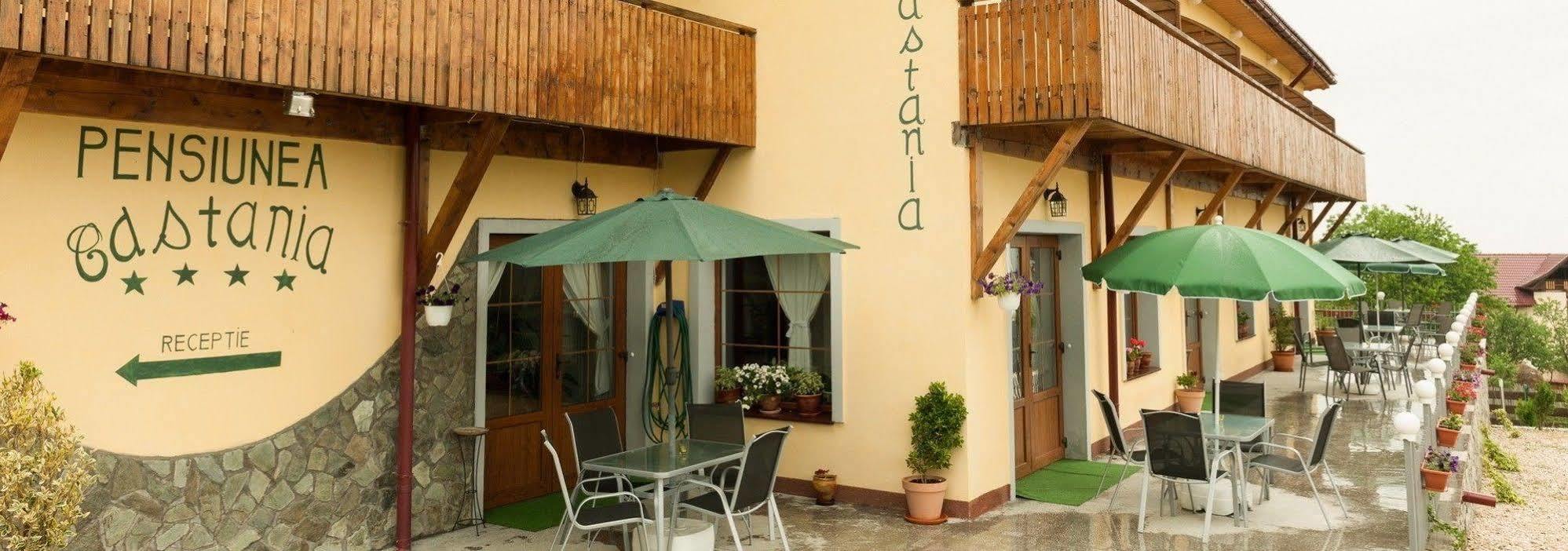 Pensiunea Castania - Pensiune Cu Piscina La Munte Polovragi Εξωτερικό φωτογραφία