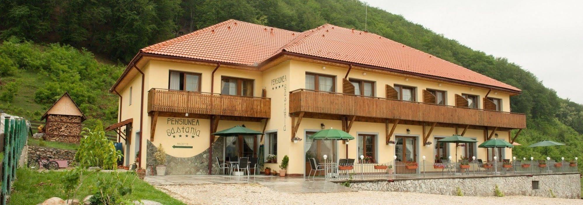 Pensiunea Castania - Pensiune Cu Piscina La Munte Polovragi Εξωτερικό φωτογραφία