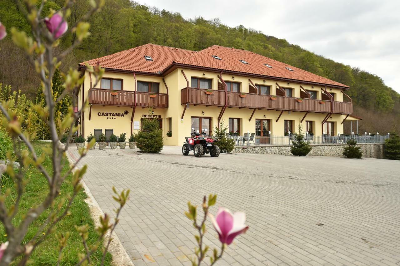 Pensiunea Castania - Pensiune Cu Piscina La Munte Polovragi Εξωτερικό φωτογραφία